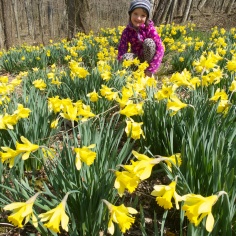 My Daffodil Girl