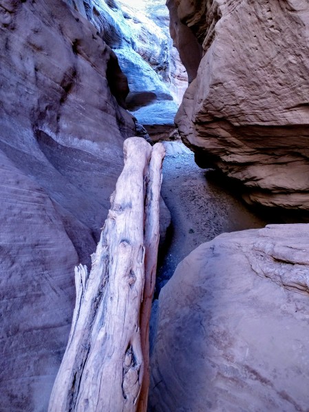 Log trapped in canyon